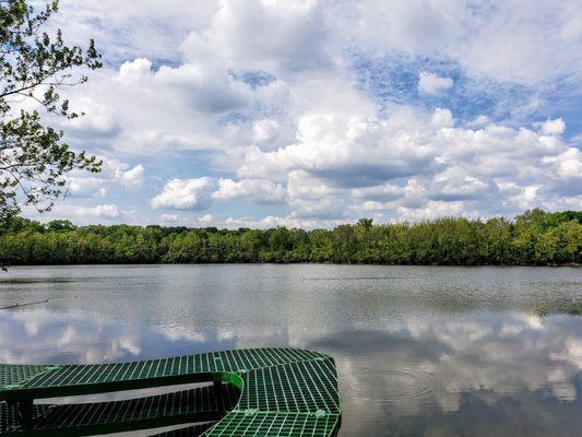 At Fairbanks Art and Nature Park