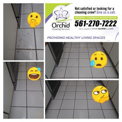 Orchid Cleaning Services