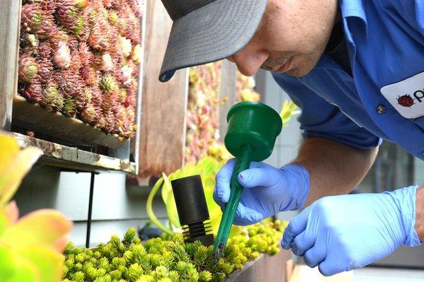 Technician doing exterior ant baiting. We use methods that do not pose a risk to our waterways or native pollinators.