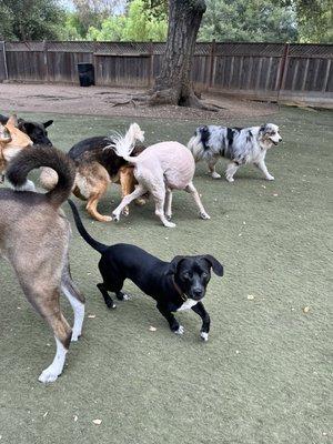 Playing at daycare