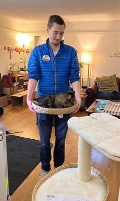 Adoptee Ajax too impatient to wait for the cat tree to be assembled