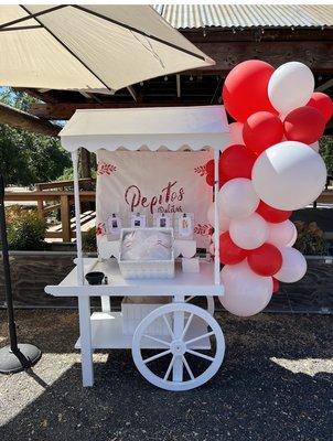 Pepitos Gourmet fresh Paletas  fiesta cart! Fun in the sun