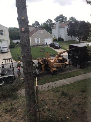 Poor folks tree service