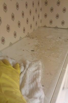 The condition of the kitchen cabinets as found upon move-in