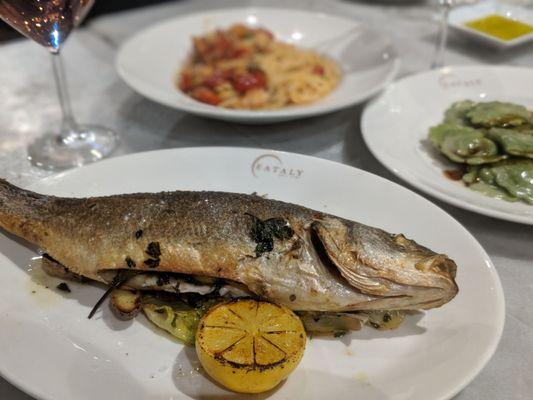 Branzino.