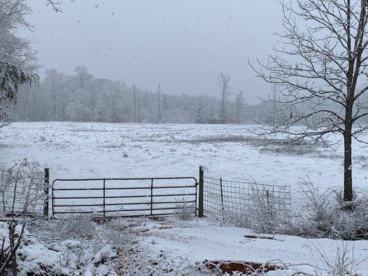 we hardly ever get snow here so I thought I'd share some of the scenery.