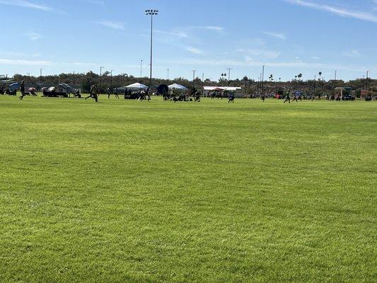 Soccer field