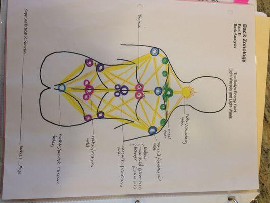 Back zone helps with the lymphatic system and the emotional body.