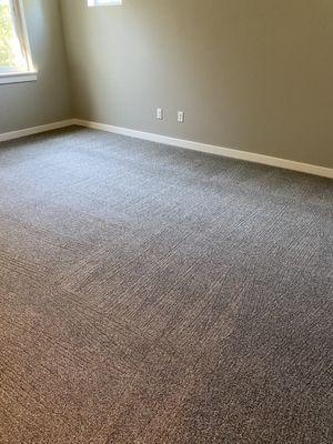 5 Star Carpet Cleaning