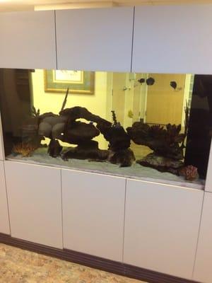 This is the aquarium at the Drs. Office.