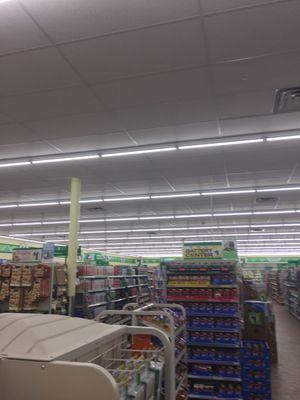 Dollar Tree of Walpole -- 1A Marketplace : 673 Main Street / Route 1A, Walpole         Interior