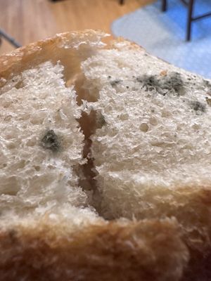 Fungus on the bread that comes with your entree.