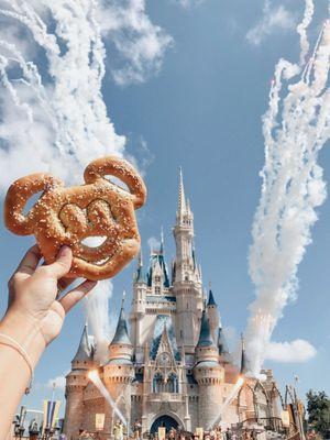 Walt Disney World