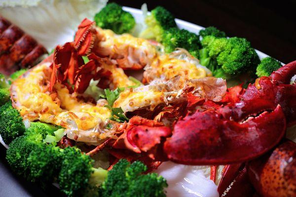 Cheese lobster