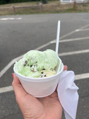 Small size with 2 generous scoops - pistachio on the top and chocolate chip on the bottom.