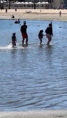 In the water during high bacteria event at Mother's Beach