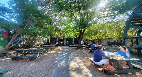 Backyard (front yard?) Outdoor seating