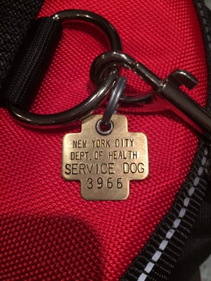 My serve dogs license & ID tag. I showed to the owner of W's before he told me if I came back w my service dog I'd hAve to eat outside!