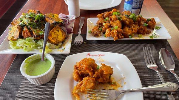 Paneer and Gobi Manchurian appetizer