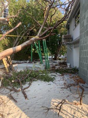 Removing a tree from the roof