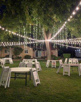 Wedding lights