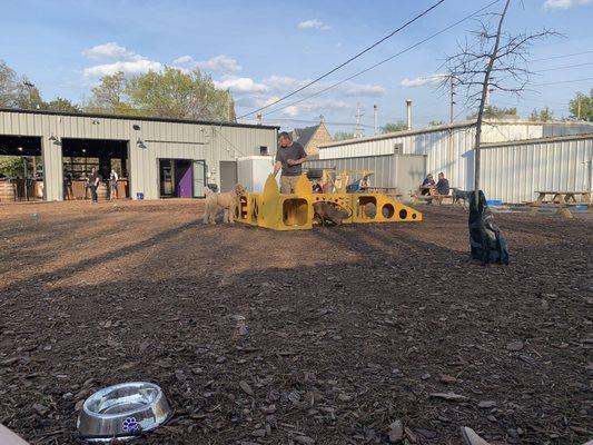 Nice lil jungle gym in the center of the yard.