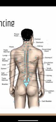 Neurolymphatics