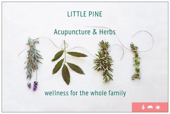 Little Pine Acupuncture & Herbs