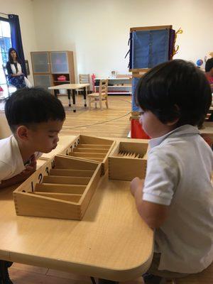 Lifetime Montessori School, Montessori School San Diego