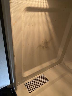 microwave grease splatter