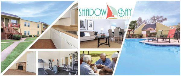 Shadow Bay Apartments