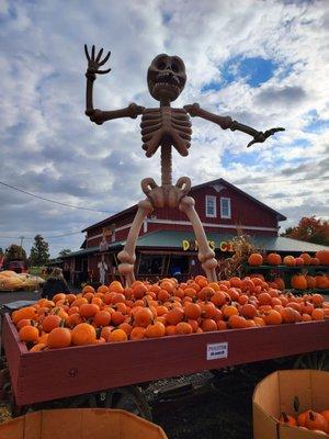 Great Pumpkin Farm