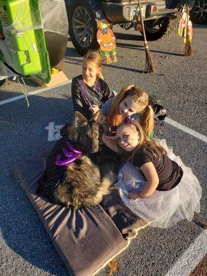 Timber at Trunk or Treat! 100s of kids in costumes and a calm pup!