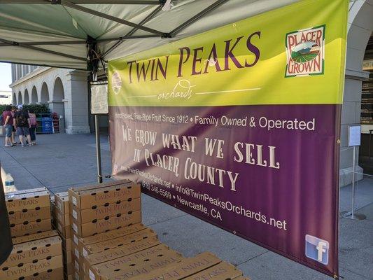 Ferry farmers market, 6/14/22