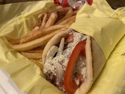 Gyro and Fries