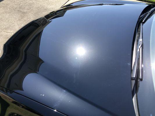 Wash, Light Polish, & Seal on Lexus GS350 Black Paint.