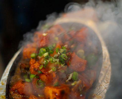 Sizzler, available in Paneer and Chicken. Recommend for dine-in only. Expect spicy engagement. Served Hot & Sizzling!