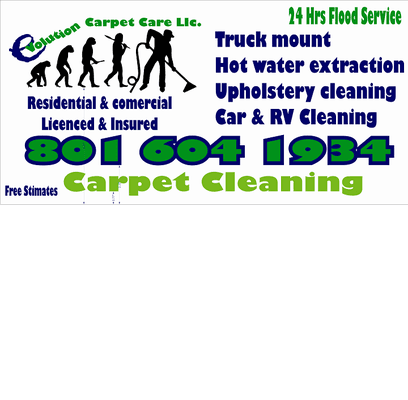 Evolution Carpet Care