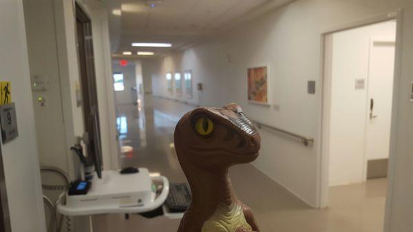 Bob the Raptor Says "The Doctor Mammals here are some of the best in the world."