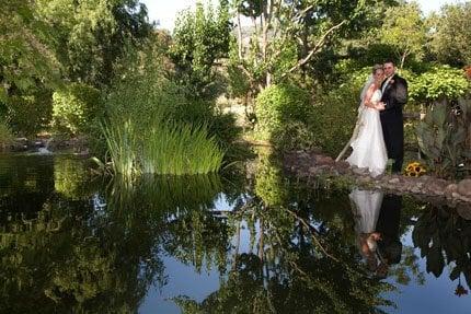 The beautiful Pond with a fountain in the center of dolphins spraying water