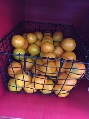 Oranges For Juicing