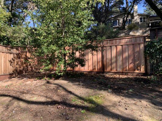 Red wood fence with square lattice