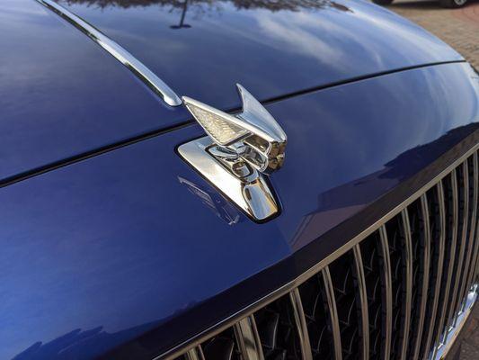 The Bentley hood ornament