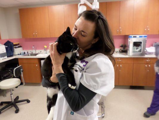 Piper, one of Purrfect Care's veterinarian technicians, loving on Carl!