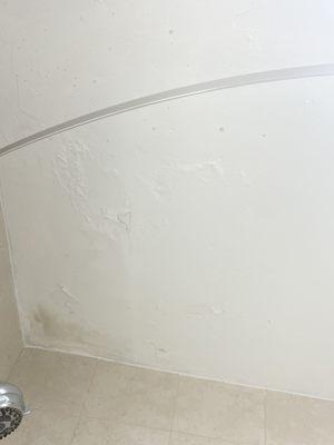 Black mold on ceiling in the bathroom