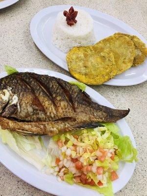 Mojarra Frita (Fried Fish), Salad, Rice & Tostones/Patacón (Fried Green Plantains)