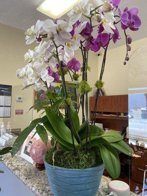 Front desk with orchid