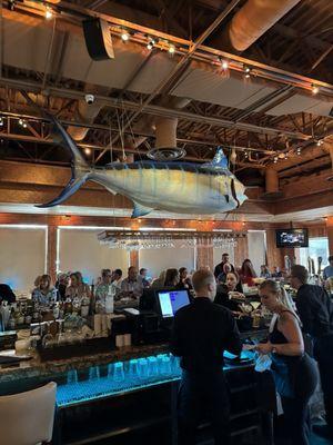 Marlin over the bar