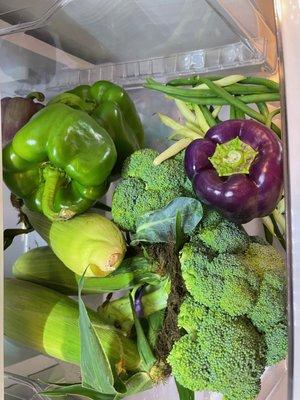 Sweet corn, broccoli, bell peppers, yellow and green beans