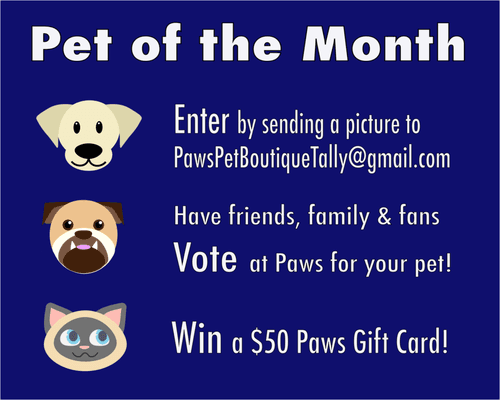 Paws Pet Boutique is rolling out a Pet of the Month Competition. Submit your pets photo to the email and have friends and fans vote. Win $50